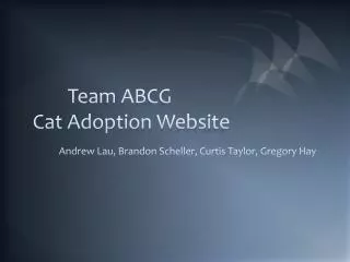 Team ABCG Cat Adoption Website