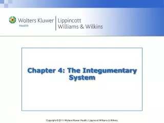 Chapter 4: The Integumentary System