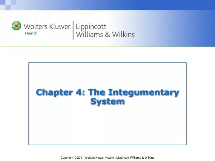 chapter 4 the integumentary system