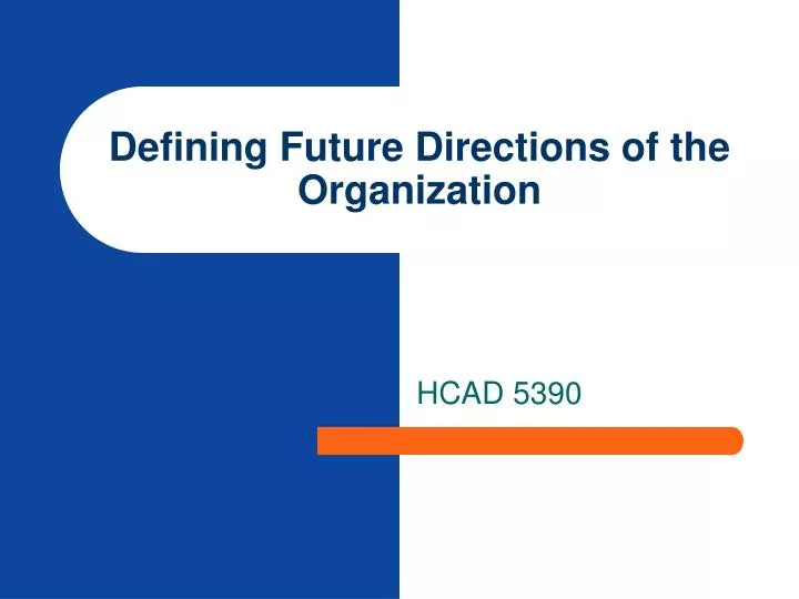 defining future directions of the organization