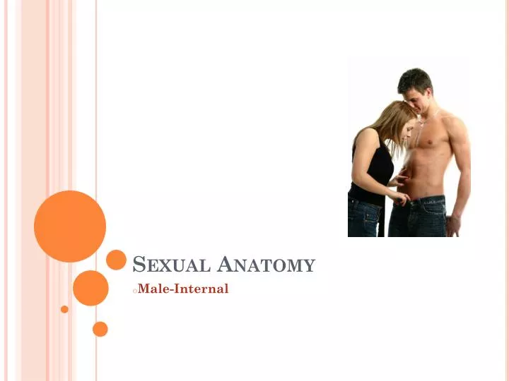 sexual anatomy