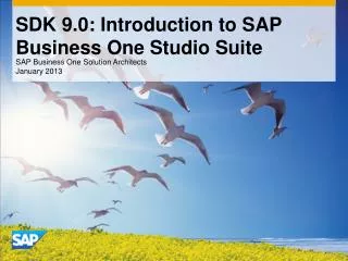 SDK 9.0: Introduction to SAP Business One Studio Suite