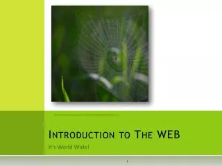 Introduction to The WEB