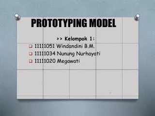 prototyping model