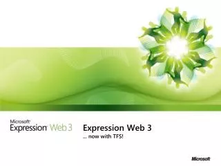 Expression Web 3