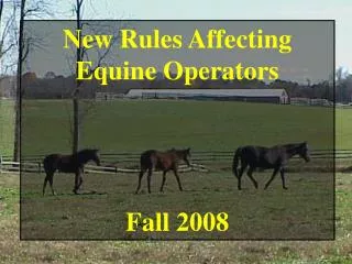 New Rules Affecting Equine Operators Fall 2008