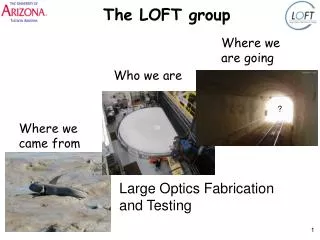 The LOFT group