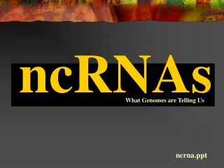 ncRNAs