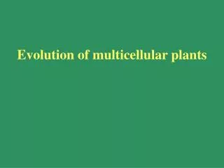 Evolution of multicellular plants