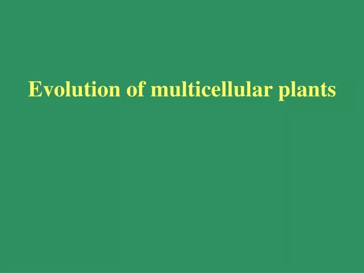 evolution of multicellular plants