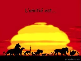 l amiti est