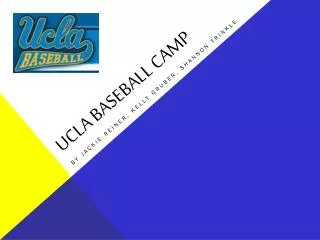 UCLA Baseball Camp