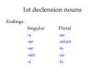 1st declension nouns - slide 1