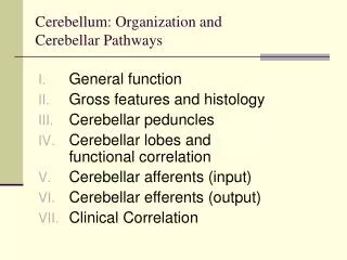 Cerebellum: Organization and Cerebellar Pathways