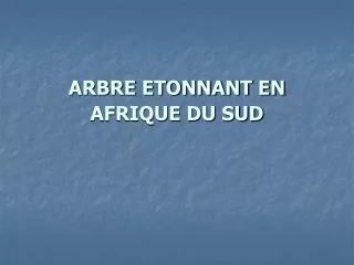 arbre etonnant en afrique du sud