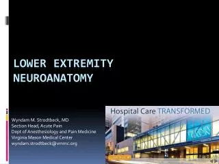 Lower extremity neuroanatomy