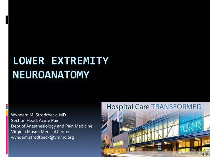 lower extremity neuroanatomy