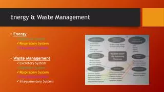 Energy &amp; Waste Management