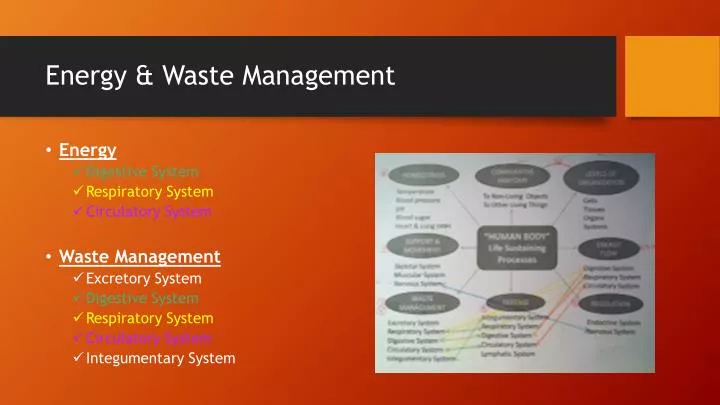 energy waste management
