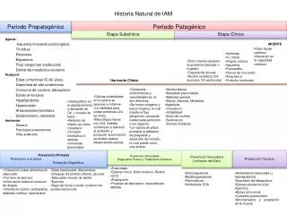 historia natural de iam