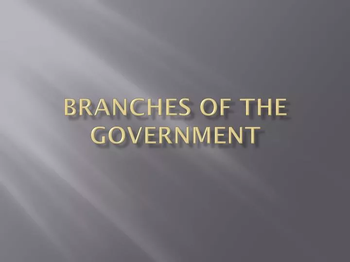 branches of the government