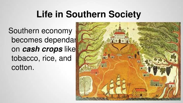 life in southern society