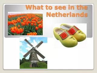 What to see in the Netherlands