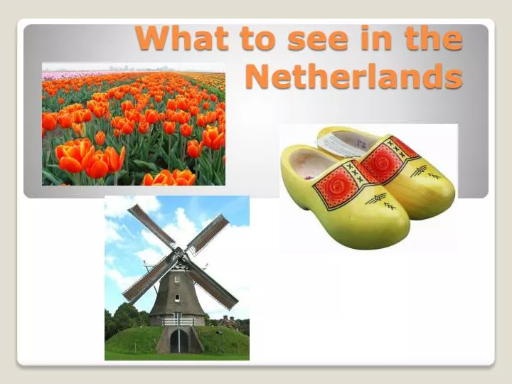 what to see in the netherlands