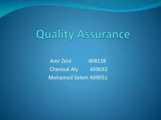 quality assurance