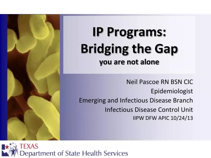 ip programs bridging the gap y ou are not alone