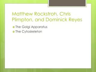 Matthew Rockstroh , Chris Plimpton, and Dominick Reyes