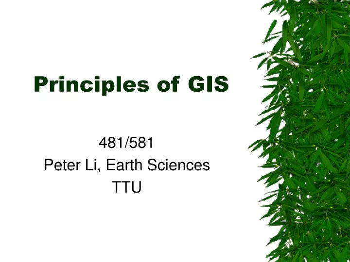 principles of gis