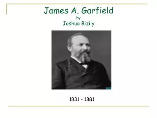 James A. Garfield by Joshua Bizily