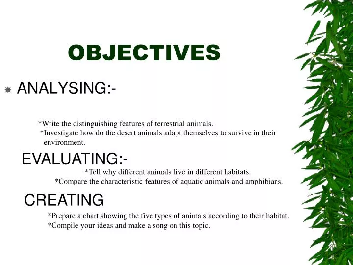 objectives