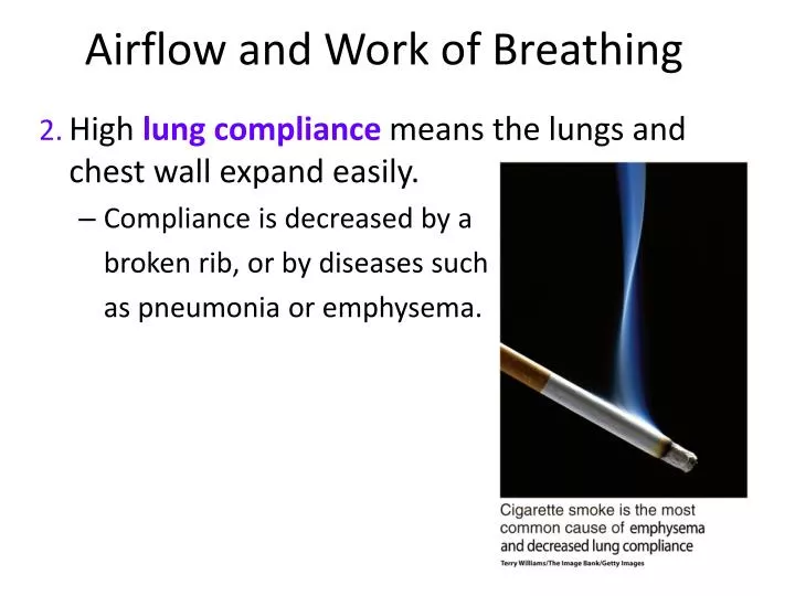airflow and work of breathing