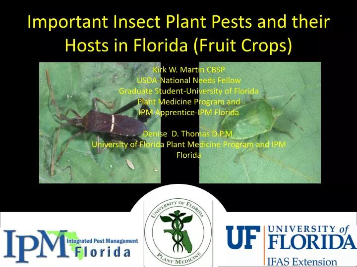 important insect plant pests and their hosts in florida fruit crops