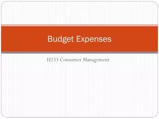 Budget Expenses