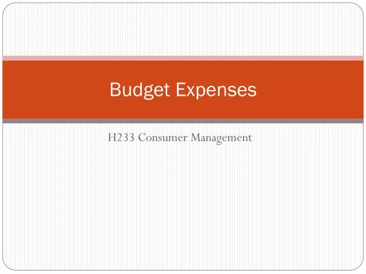 budget expenses