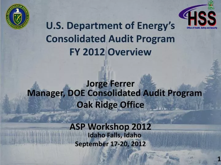 u s department of energy s consolidated audit program fy 2012 overview