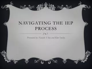 Navigating the iep process