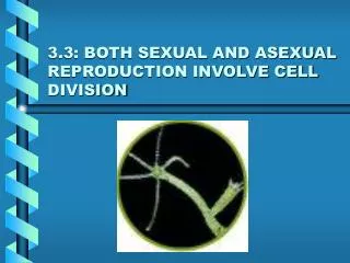 3.3: BOTH SEXUAL AND ASEXUAL REPRODUCTION INVOLVE CELL DIVISION