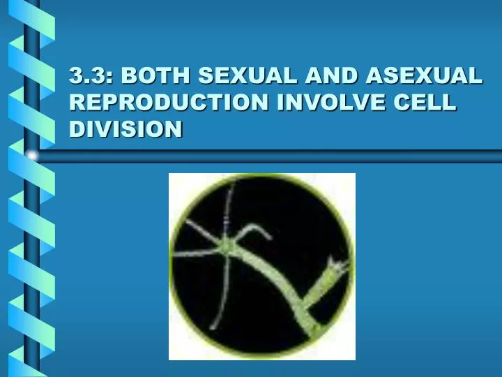 3 3 both sexual and asexual reproduction involve cell division