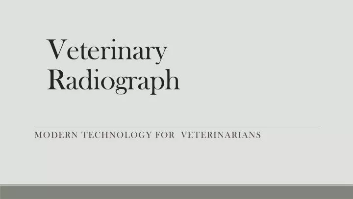 veterinary radiograph