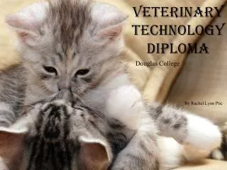 Veterinary T echnology Diploma