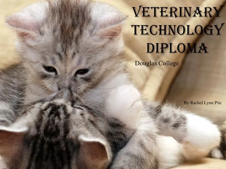 veterinary t echnology diploma