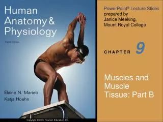 Muscles and Muscle Tissue: Part B