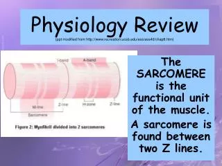 Physiology Review (ppt modified from recreation.ucsb/ess/ess40/chap8.htm)