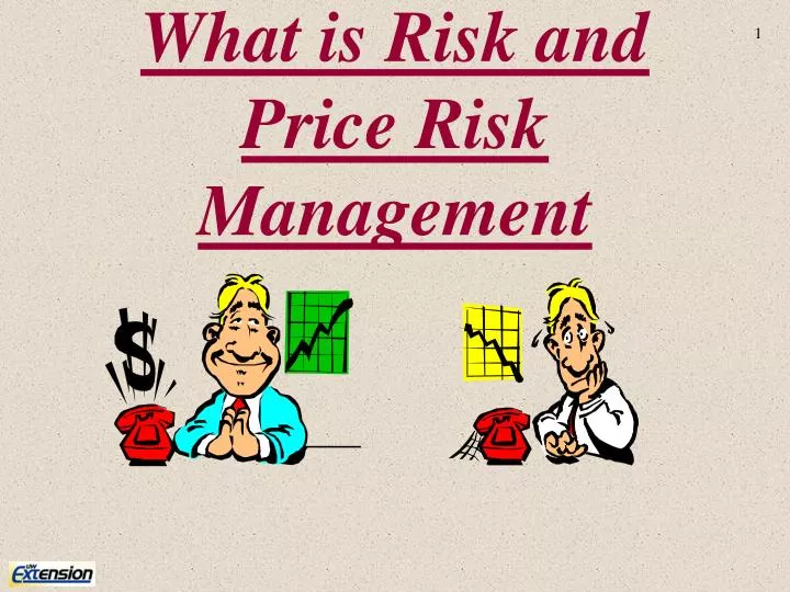 what is risk and price risk management