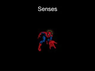 Senses