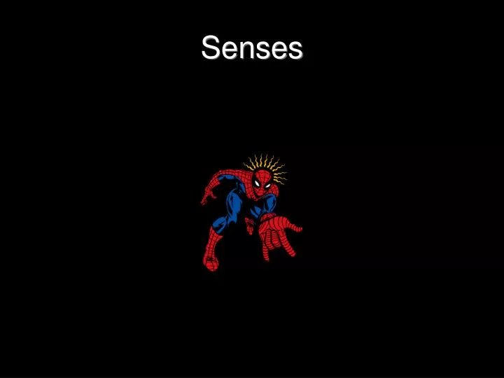 senses